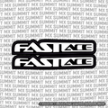 Fastace Fork Tube Decal (Without Fastace Icon)